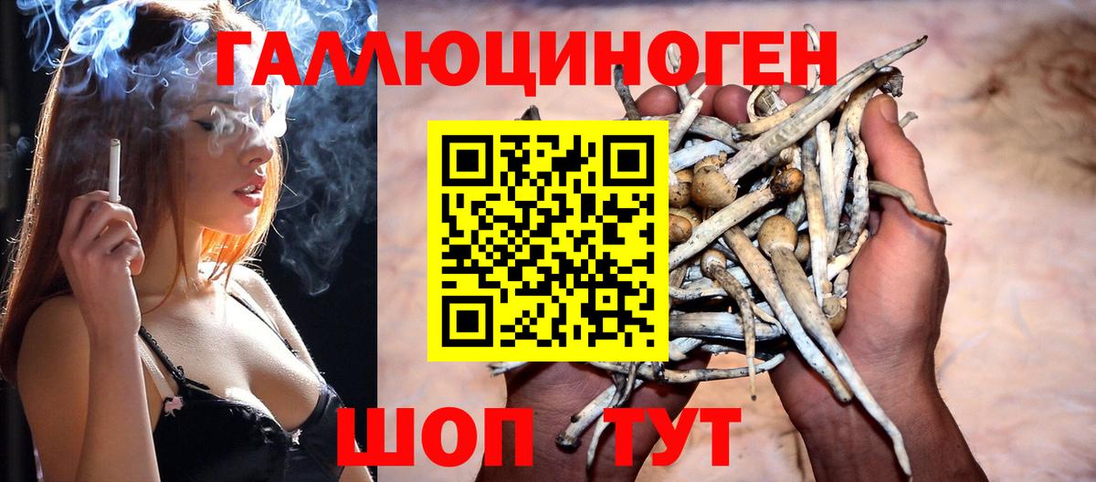 Галлюциногенные грибы Cubensis Магадан