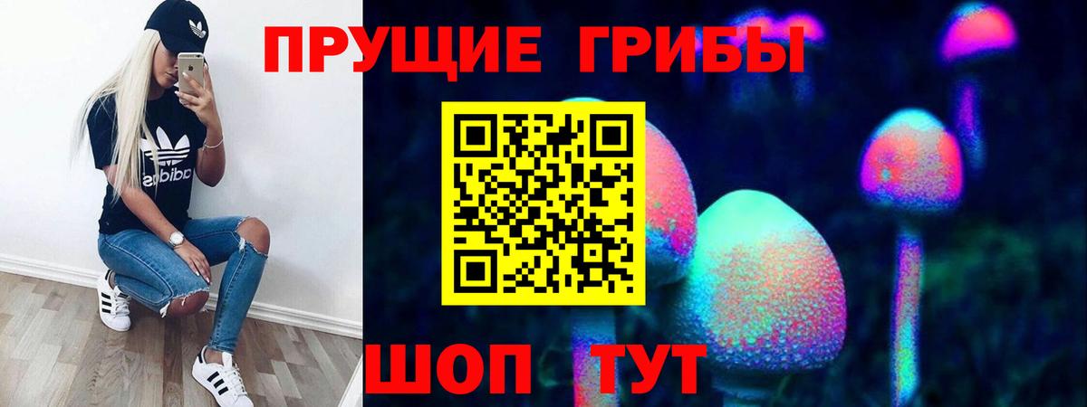 Магадан  закладка  Вход с VPN  Псилоцибиновые грибы мицелий  Галлюциногенные грибы Psilocybine cubensis 
